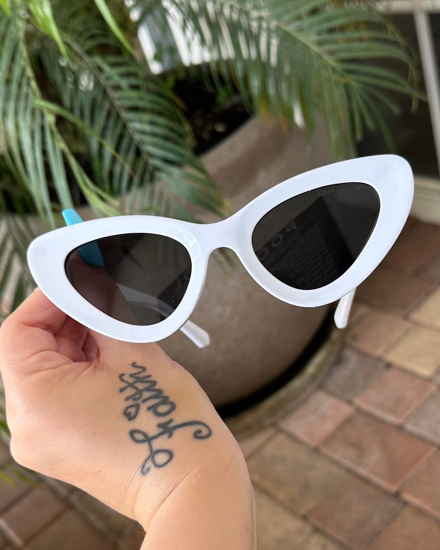 Catty Shades