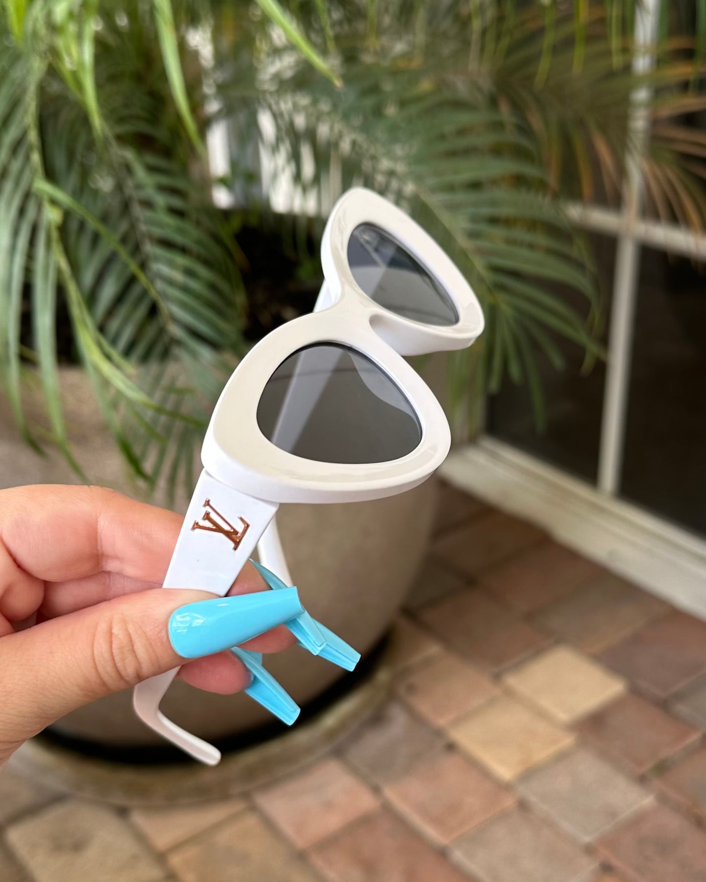 Catty Shades